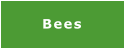 Bees