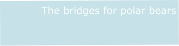 The bridges for polar bears