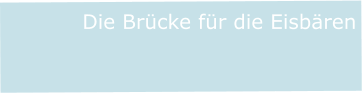 Die Brücke für die Eisbären