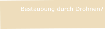 Bestäubung durch Drohnen?